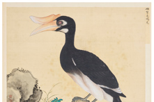 Jiang Tingxi bird