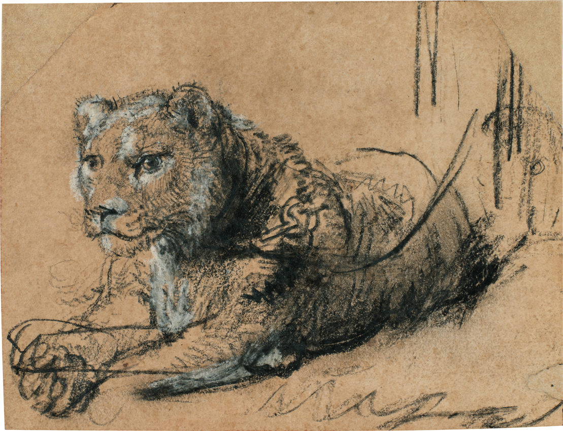 Rembrandt drawing