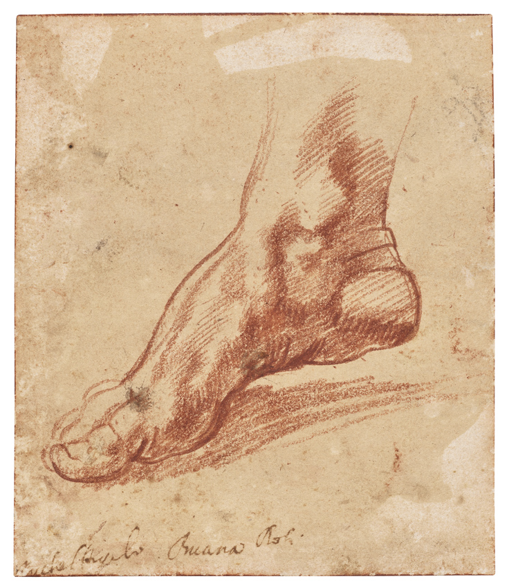 Michelangelo drawing