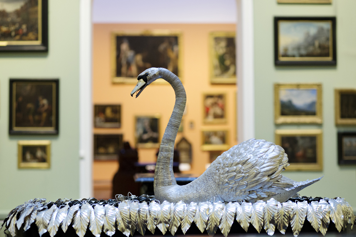 Silver swan
