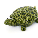 Burmantofts' Tortoise