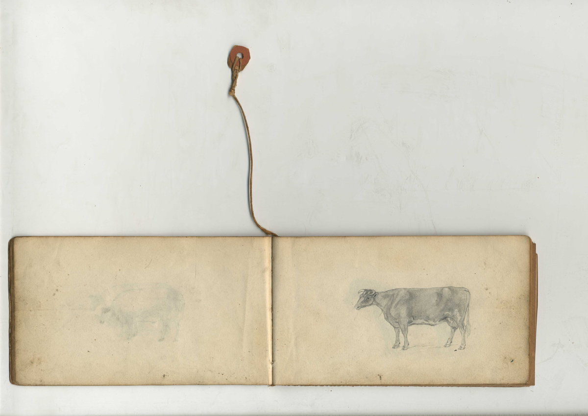 Thomas Bewick sketchbook 
