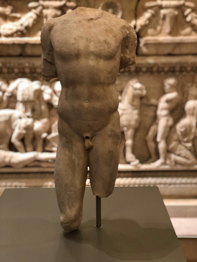Torso