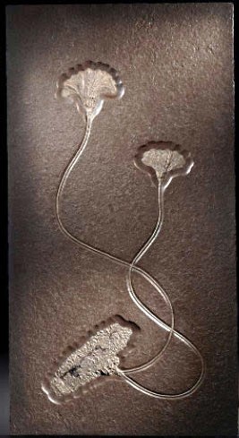 img_45-8.jpg