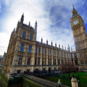 parliament-2402NE 15-07-19.jpg