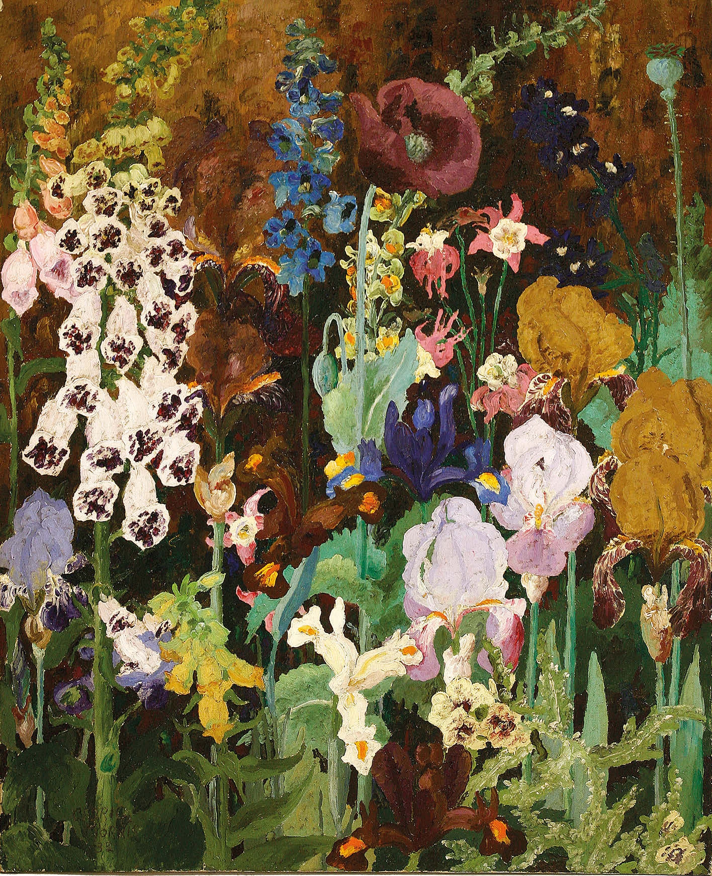 Foxgloves.jpg