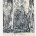 Royal visit postcard 2.jpg