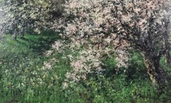 Austrian apples bloom in UK