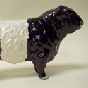 Beswick Belted Galloway Bull (model 1746B)