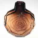 TSR Guides Glass Watson