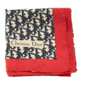 Dior scarf