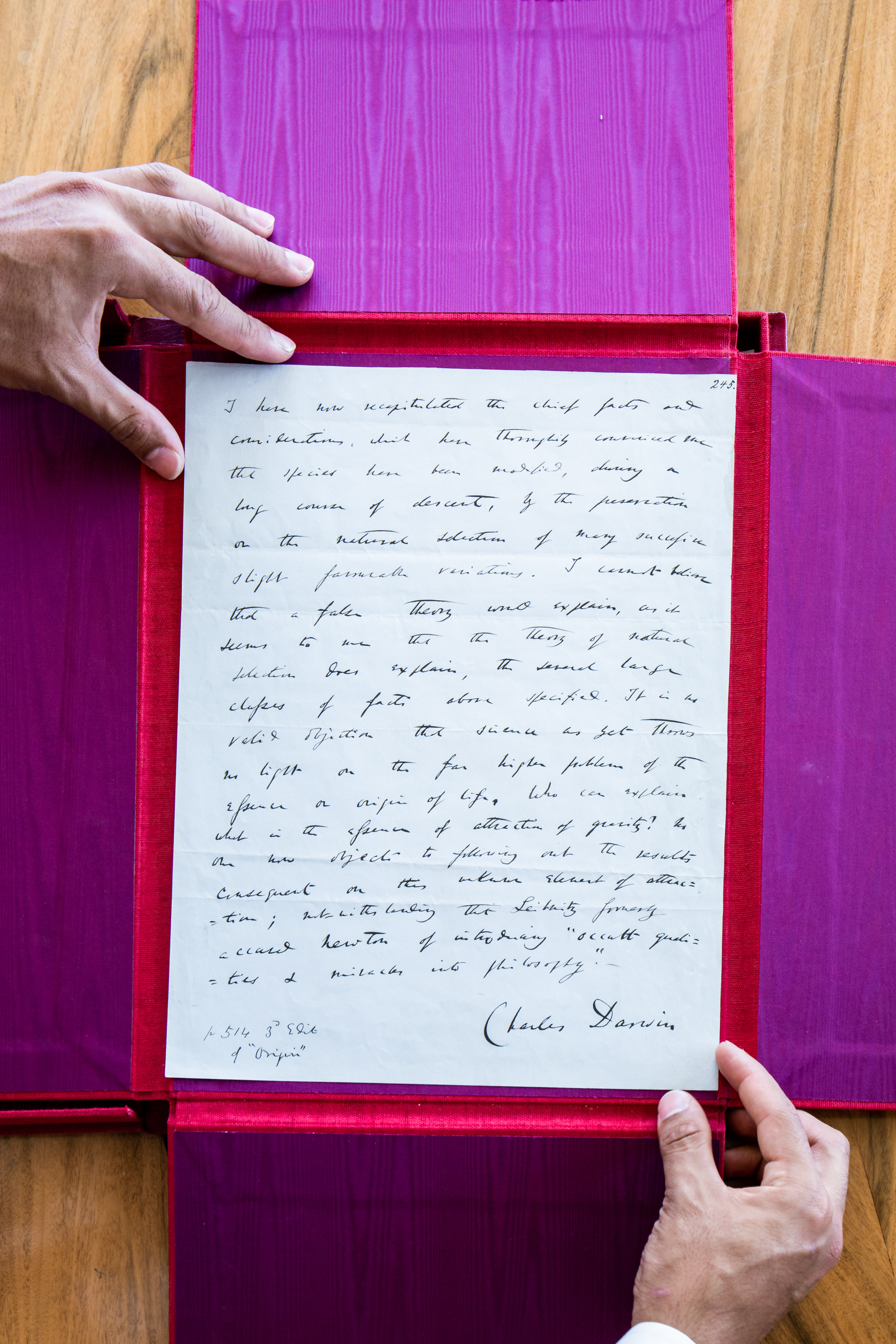 Darwin manuscript