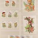 Mushroom Stamps 2