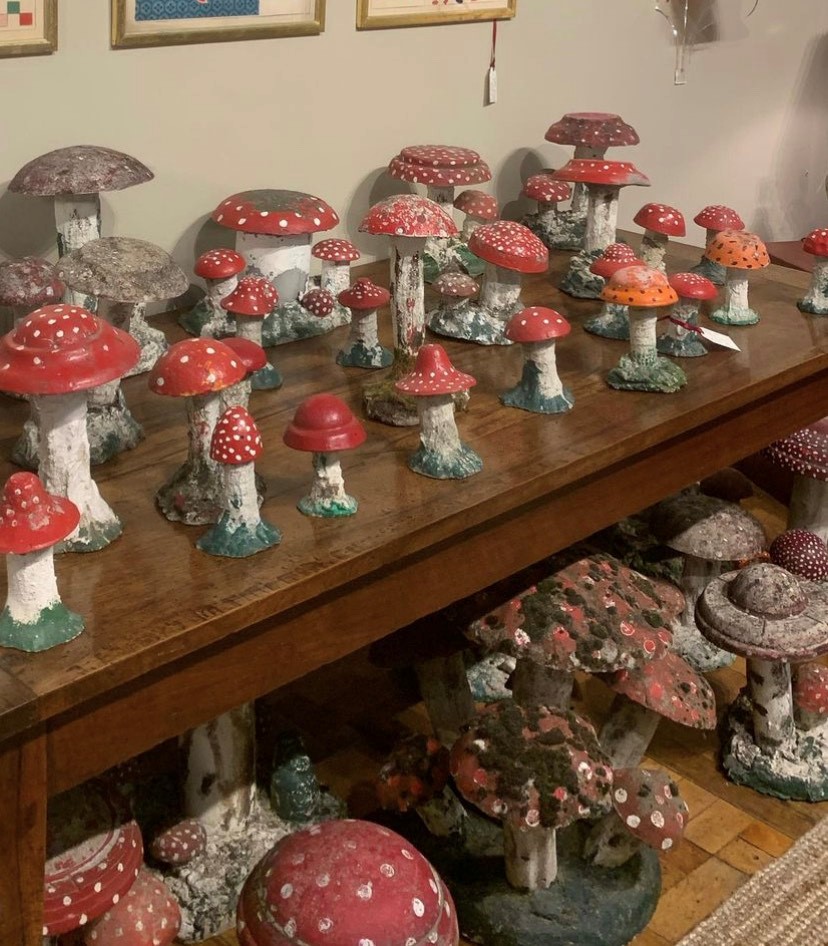 Toadstools At Battersea