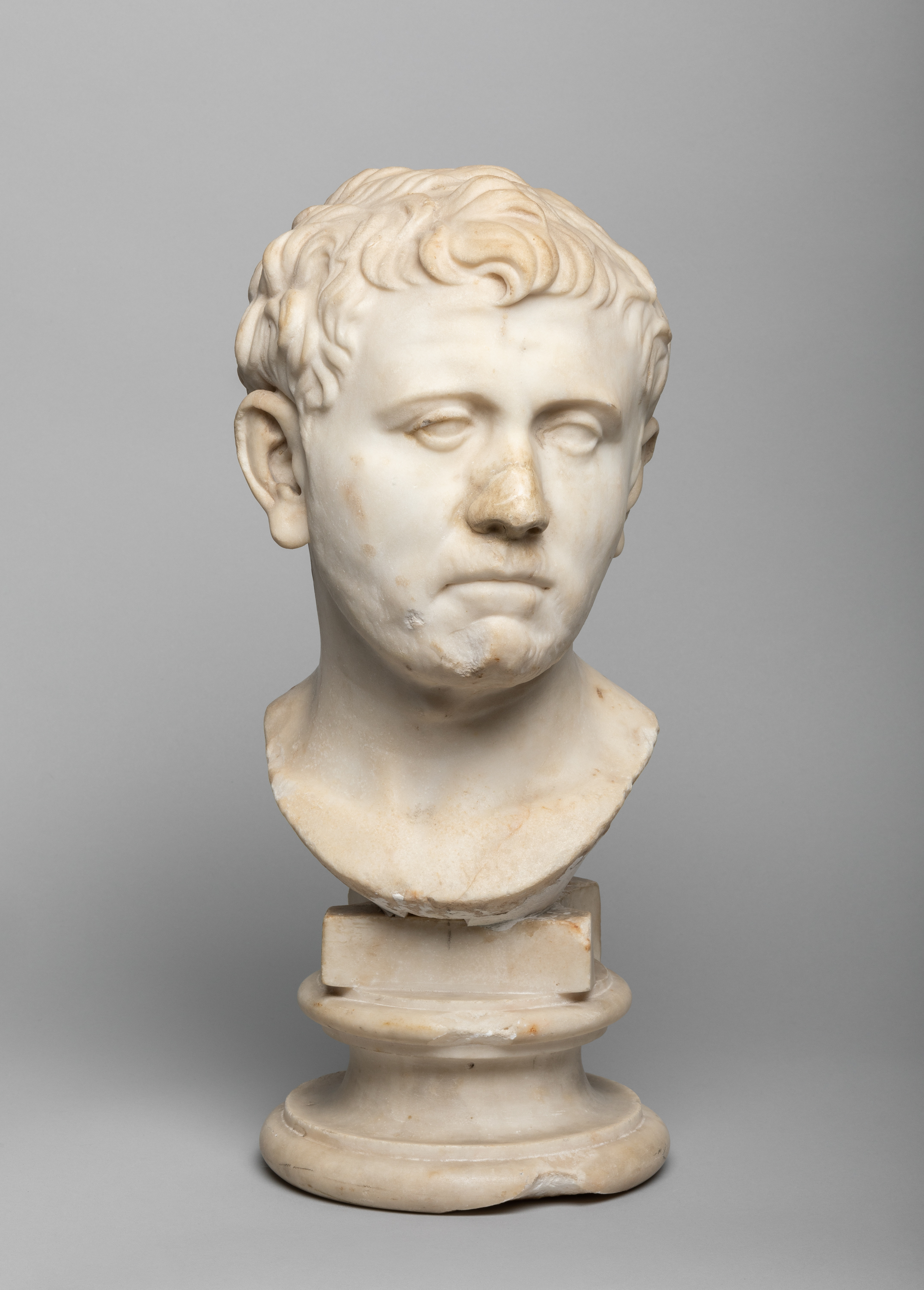 Roan bust