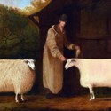 Shepherd and sheep picture